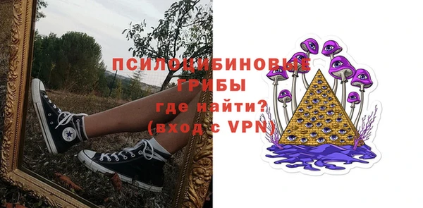 эйфоретик Надым