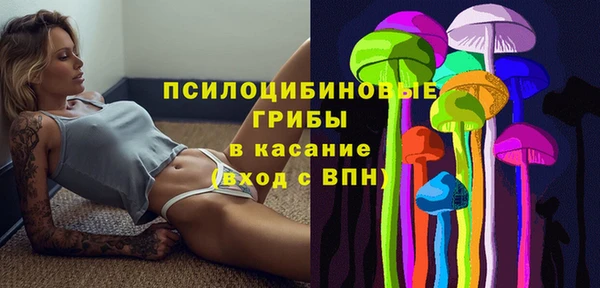 эйфоретик Надым