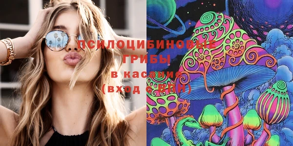 эйфоретик Надым